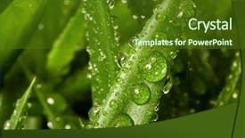  Presentation with cosmetic - Presentation theme with raw materials cosmetic - aloe background and a  colored foreground