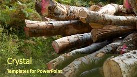  Presentation with forestry - PPT theme featuring raw materials product - forestry work in pyrenees france background and a  colored foreground
