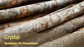  Presentation with forestry - Amazing slide set having raw materials product - forestry work in pyrenees france backdrop and a  colored foreground