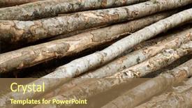  Presentation with forestry - Beautiful slide deck featuring raw materials product - forestry work in pyrenees france backdrop and a  colored foreground