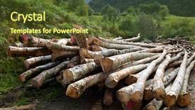  Presentation with forestry - PPT theme having raw materials product - forestry work in pyrenees france background and a  colored foreground