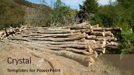  Presentation with forestry - PPT theme enhanced with raw materials product - forestry work in pyrenees france background and a  colored foreground