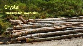  Presentation with forestry - Amazing slide set having raw materials product - forestry work in pyrenees france backdrop and a  colored foreground