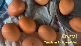  Presentation with organic chemistry reaction formula - Audience pleasing theme consisting of raw materials product - organic chicken eggs backdrop and a tawny brown colored foreground