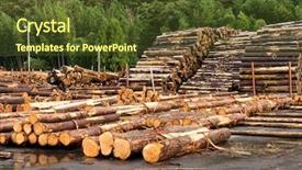  Presentation with wood - Colorful theme enhanced with raw materials product - wood preparation backdrop and a  colored foreground