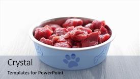  Presentation with raw meat - Beautiful slides featuring raw meat - dog food in a bowl backdrop and a ocean colored foreground