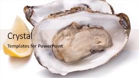  Presentation with oyster - Slides enhanced with raw oyster and lemon isolated on a white background background and a coral colored foreground