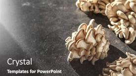  Presentation with mushrooms - Audience pleasing PPT theme consisting of raw oyster mushrooms on table backdrop and a dark gray colored foreground