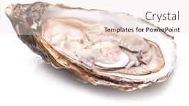  Presentation with oyster - PPT layouts featuring raw oyster on a white background background and a lemonade colored foreground