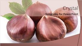  Presentation with fruits - Colorful PPT layouts enhanced with raw-peeled-edible-chestnut-fruits backdrop and a coral colored foreground