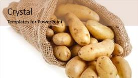 Presentation with bag - Presentation theme consisting of portrait of happy athlete holding a ball on black background background and a dark gray colored foreground