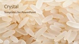 Presentation with rice grain - Audience pleasing PPT theme consisting of raw rice a close shot backdrop and a lemonade colored foreground