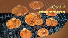  Presentation with saffron - Slide set with raw-saffron-milk-cap-mushrooms background and a red colored foreground