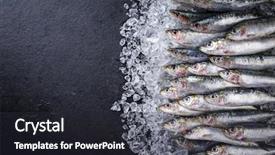  Presentation with ice - Amazing presentation design having raw sardine on ice offered backdrop and a dark gray colored foreground