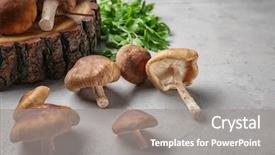  Presentation with mushrooms farm to table vegetables - Theme enhanced with raw shiitake mushrooms on table background and a gray colored foreground