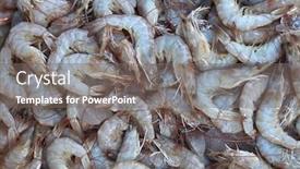  Presentation with shrimps - Colorful slides enhanced with raw-shrimps-on-the-market backdrop and a gray colored foreground