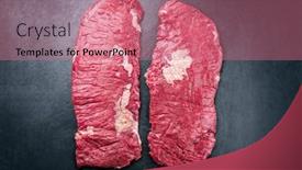 Presentation with wagyu - PPT layouts consisting of raw-wagyu-bavette-beef-steak background and a coral colored foreground