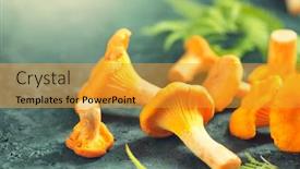  Presentation with vegan food - Beautiful presentation featuring raw-wild-chanterelles-mushrooms backdrop and a gold colored foreground