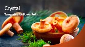  Presentation with saffron - PPT theme featuring raw wild saffron milk cap background and a dark gray colored foreground