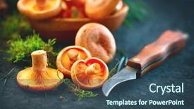  Presentation with saffron - Presentation theme enhanced with raw wild saffron milk cap background and a ocean colored foreground