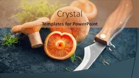  Presentation with saffron - Theme consisting of raw-wild-saffron-milk-cap background and a coral colored foreground