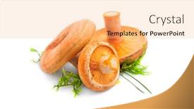  Presentation with design milk - PPT theme with raw-wild-saffron-milk-cap background and a coral colored foreground