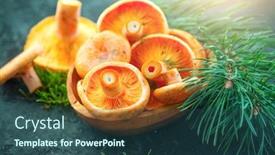  Presentation with saffron - PPT theme consisting of raw-wild-saffron-milk-cap background and a ocean colored foreground