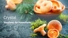  Presentation with saffron - Colorful presentation theme enhanced with raw-wild-saffron-milk-cap backdrop and a gray colored foreground