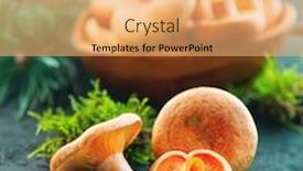  Presentation with saffron - Beautiful slide set featuring raw-wild-saffron-milk-cap backdrop and a yellow colored foreground