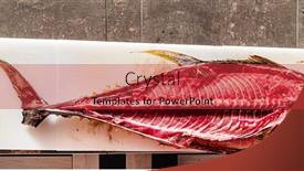  Presentation with tuna - Presentation theme enhanced with raw-yellow-fin-tuna background and a red colored foreground