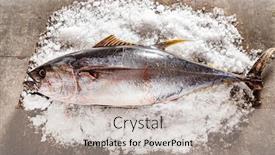  Presentation with tuna - Cool new presentation theme with raw-yellow-fin-tuna backdrop and a light gray colored foreground