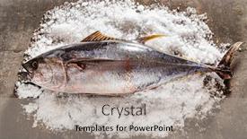  Presentation with tuna - PPT theme consisting of raw-yellow-fin-tuna background and a light gray colored foreground