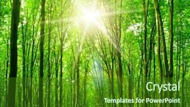  Presentation with green nature - Amazing slide set having ray light - forest trees nature green wood backdrop and a forest green colored foreground