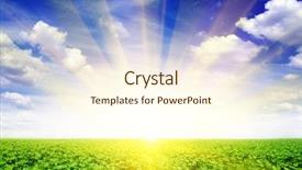  Presentation with sunflower sunflower sunflower sunflower sunflower - Slide set consisting of ray light - sunflower field and beautiful sunrise background and a  colored foreground