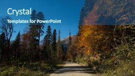  Presentation with forest road - Slide deck consisting of rays and highlights with road background and a ocean colored foreground