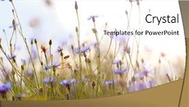  Presentation with sun rays on blue sky - PPT layouts enhanced with rays of the setting sun background and a white colored foreground