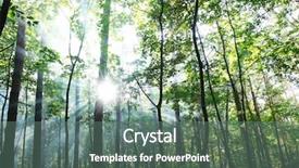  Presentation with shining forest - PPT layouts consisting of rays shining through the trees background and a ocean colored foreground