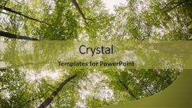  Presentation with forest - PPT theme consisting of rays through green forest canopy background and a gold colored foreground