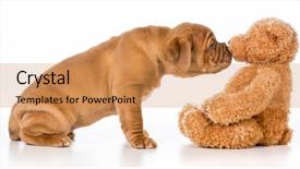  Presentation with smell - Audience pleasing presentation theme consisting of reaching out to smell stuffed backdrop and a coral colored foreground