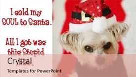  Presentation with dog christmas - Slides having reads i sold my soul background and a coral colored foreground