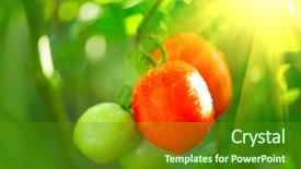  Presentation with ready - PPT layouts consisting of ready for the harvesting grow background and a tawny brown colored foreground