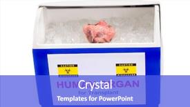  Presentation with human heart - Presentation theme enhanced with ready fro transportation from donor background and a cobalt blue colored foreground