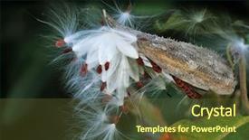  Presentation with parachute - Cool new presentation with ready to be blown away backdrop and a  colored foreground