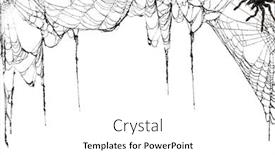  Presentation with spider - Beautiful slide deck featuring real creepy spider webs hanging on white banner as a top border with a tarantula in the corner backdrop and a white colored foreground