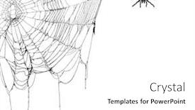  Presentation with creepy - Cool new PPT theme with real creepy spider webs on white banner with tarantulas hanging from the webs backdrop and a white colored foreground