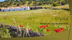  Presentation with way - PPT theme featuring real-del-jara-by-via and a gold colored foreground