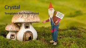  Presentation with garden - Beautiful theme featuring real life garden gnome pointing backdrop and a gold colored foreground