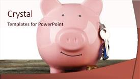  Presentation with piggy bank - Colorful PPT theme enhanced with real life pigs - piggy bank style money box backdrop and a  colored foreground