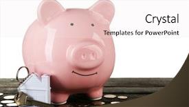  Presentation with piggy bank - Slides having real life pigs - piggy bank style money box background and a  colored foreground