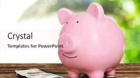  Presentation with piggy bank is evil - PPT theme enhanced with real life pigs - piggy bank style money box background and a lemonade colored foreground